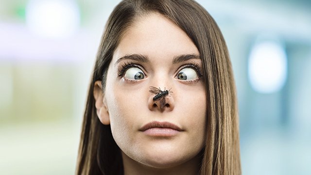 有一只苍蝇的妇女在她的鼻子640x360