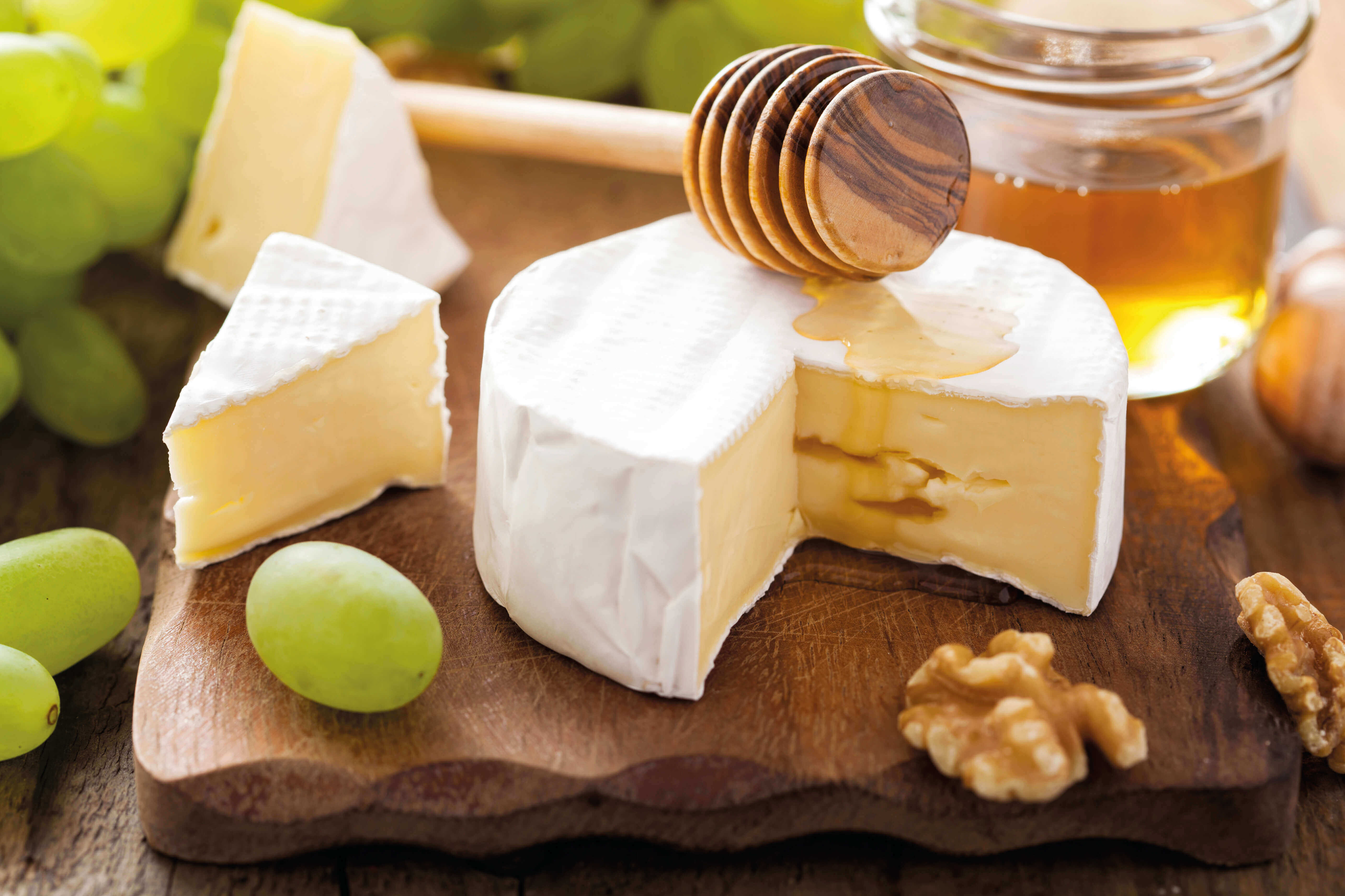 奶酪用蜂蜜640x360